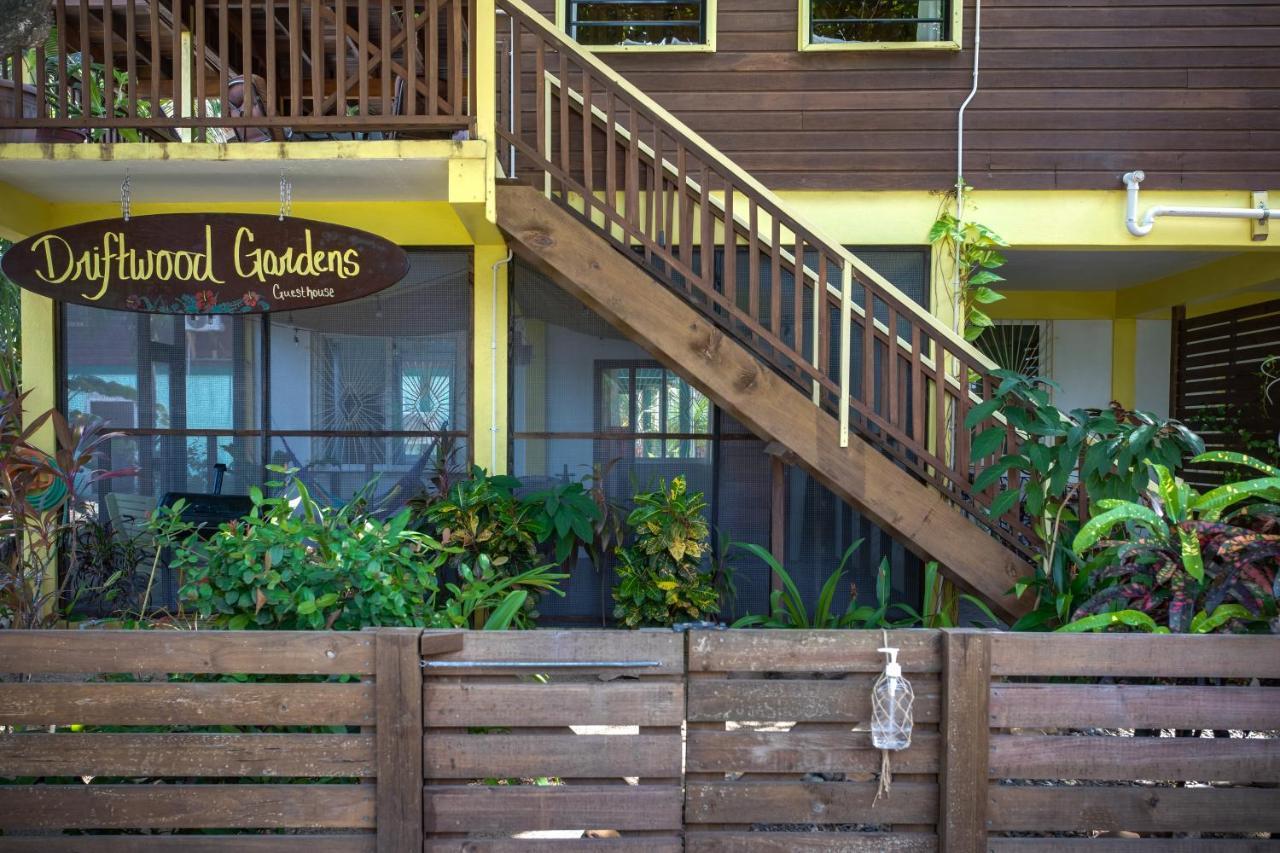 Driftwood Gardens Guesthouse Placencia Bagian luar foto