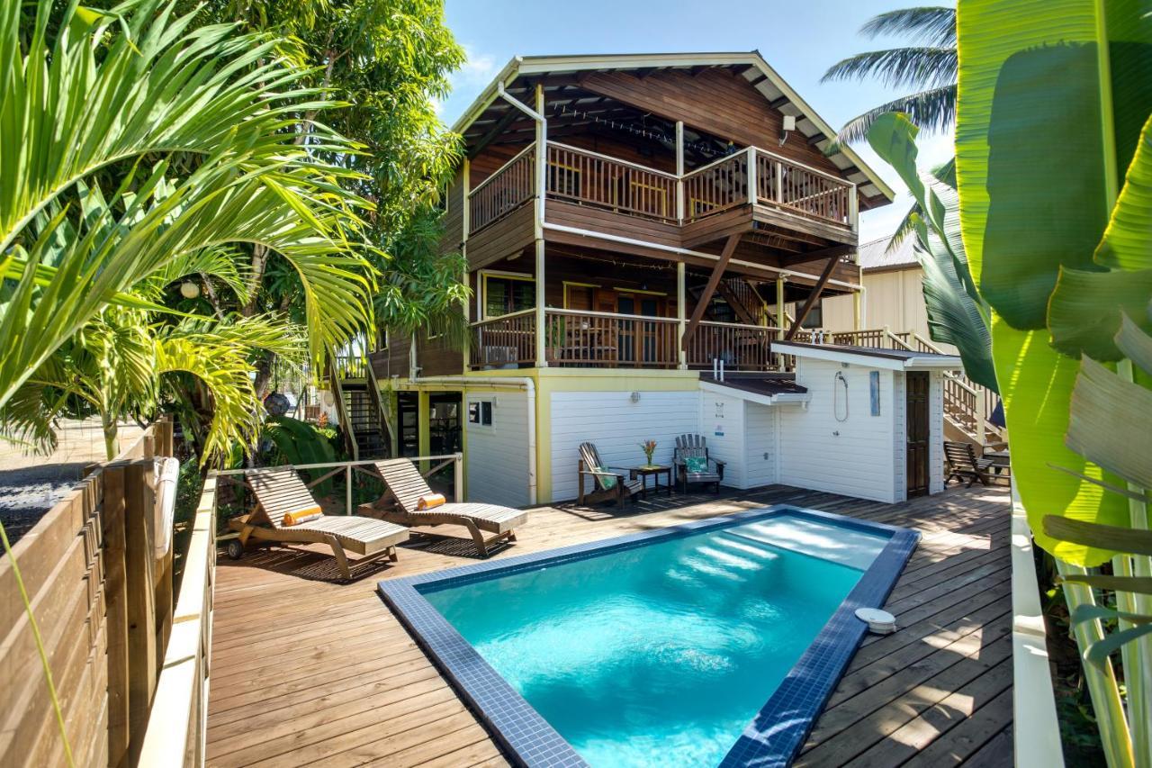 Driftwood Gardens Guesthouse Placencia Bagian luar foto
